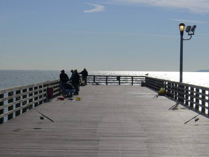USA_2011-12-02 11-47-12